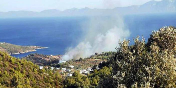 Bodrum'daki orman yangını kontrol altına alındı