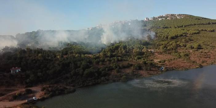 Orman yangınıyla ilgili 1 kişiye gözaltı