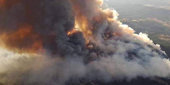 Ankara'daki orman yangınına müdahale sürüyor