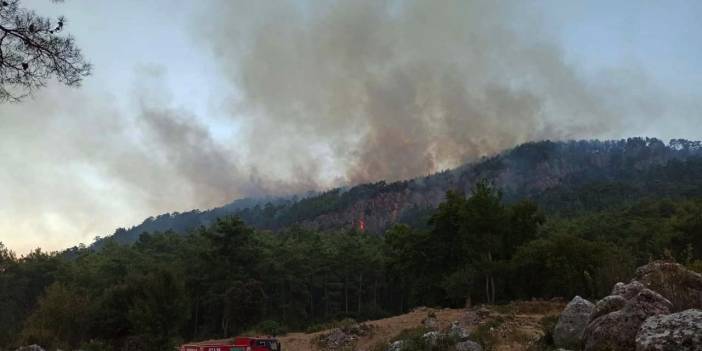 Antalya'da orman yangını kontrol altına alındı