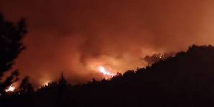 Hatay'da kontrol altına alınan yangın, yeniden alevlendi