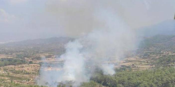 Muğla'daki orman yangınında 1 hektarlık alan zarar gördü