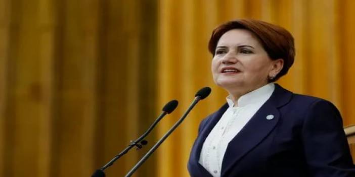 Meral Akşener'den TTB Başkanı Sinan Adıyaman'a destek telefonu