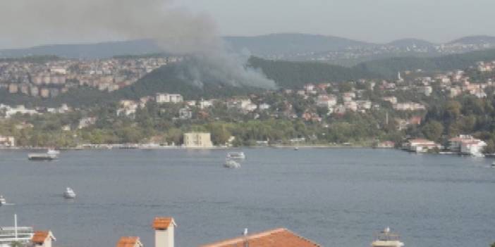 Beykoz'da orman yangını