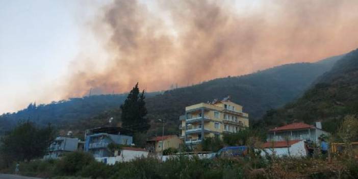 Aydın'daki yangında 50'ye yakın ev tahliye edildi