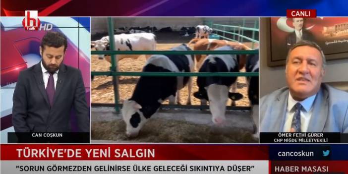 Türkiye'nin yeni salgını: 3 gün içinde öldürüyor