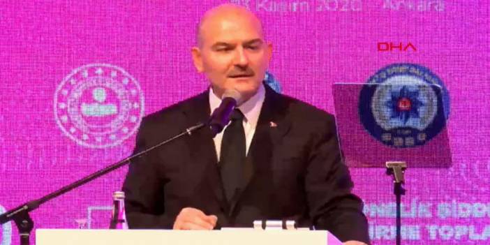 Soylu: 20 Kasım itibariyle 234 kadın hayatını kaybetti