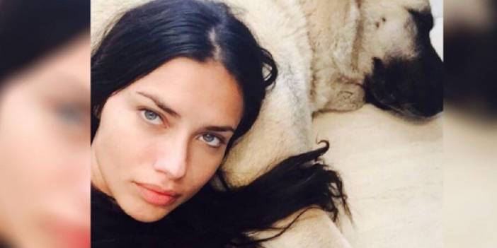 Sivas'tan Adriana Lima'ya teklif: Üçüncü köpeği hediye gönderebiliriz