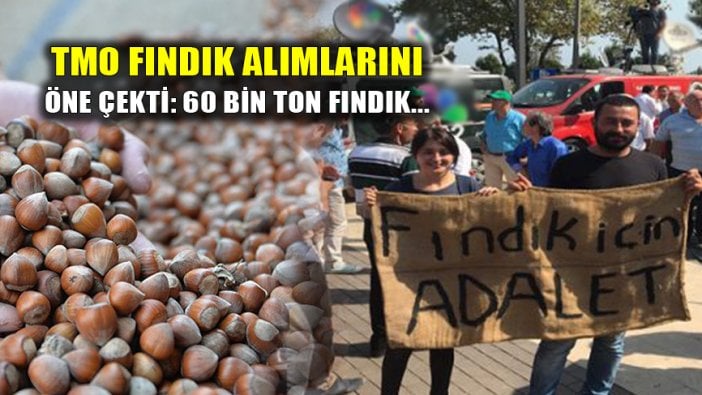 TMO 60 bin ton fındık aldı: Alımları öne çekti!