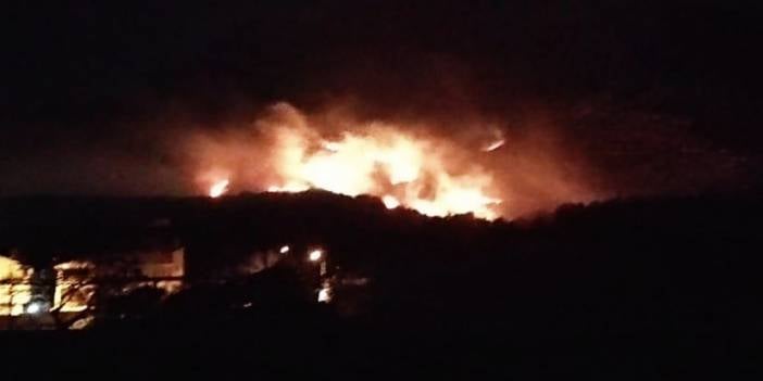 Hatay'da dört farklı noktada yangın