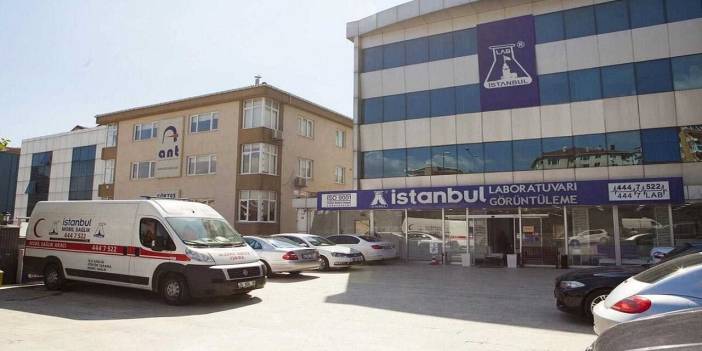 Lab İstanbul Laboratuvarları; Babalık Testi Nedir?