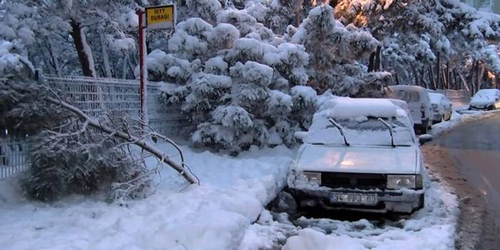 İstanbul'da bir kadının üzerine ağaç devrildi