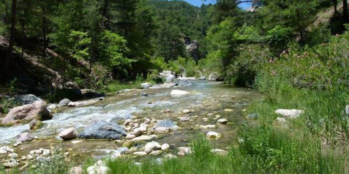 Danıştay, doğal SİT alanlarında HES yapılmasına izin veren kararı iptal etti