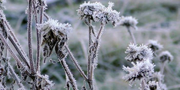 Meteorolojiden zirai don uyarısı