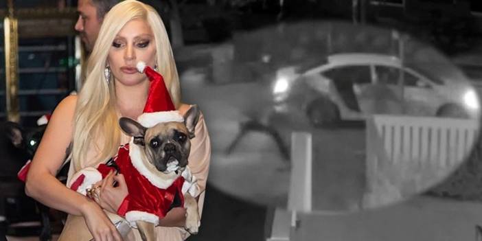 Lady Gaga'nın kaçırılan köpekleri bulundu