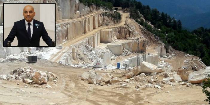 İzmir'deki kızılçam ormanının bağrına mermer ocağı TMBB gündeminde