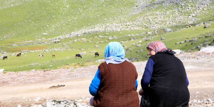 Karadeniz’de vakalar aynı soyadlarda kümeleniyor