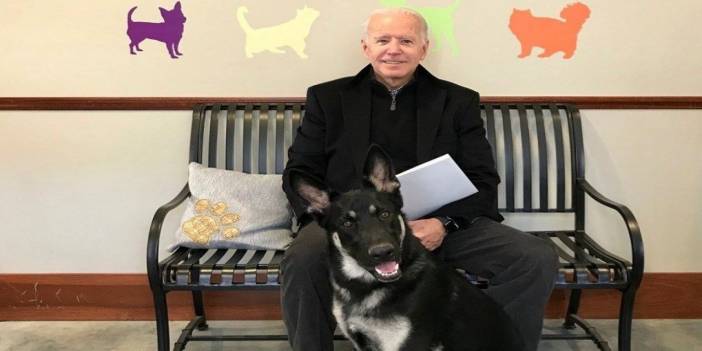 Biden’ın köpeği bir kişiyi daha ısırdı