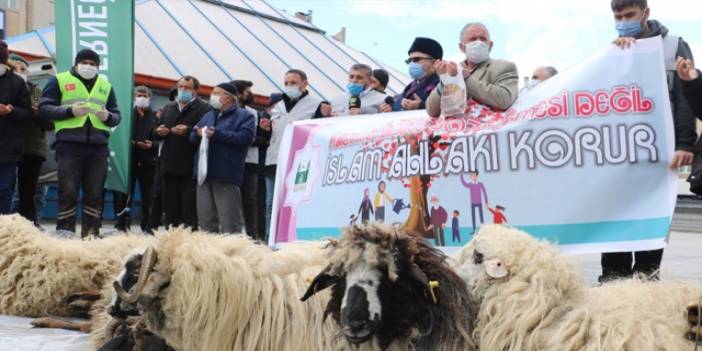 İstanbul Sözleşmesi feshedildi diye şükür kurbanı kestiler!