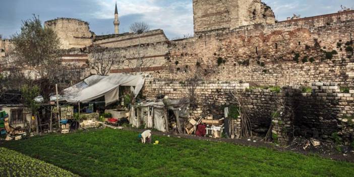 1500 yıllık Yedikule Bostanları yok ediliyor