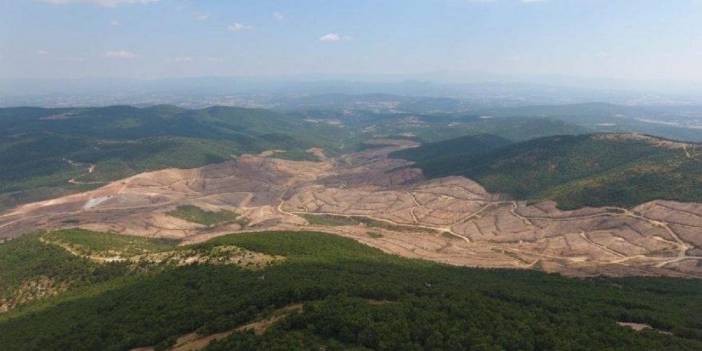 Kazdağları’nda Binlerce Ağaç Daha Tehlike Altında