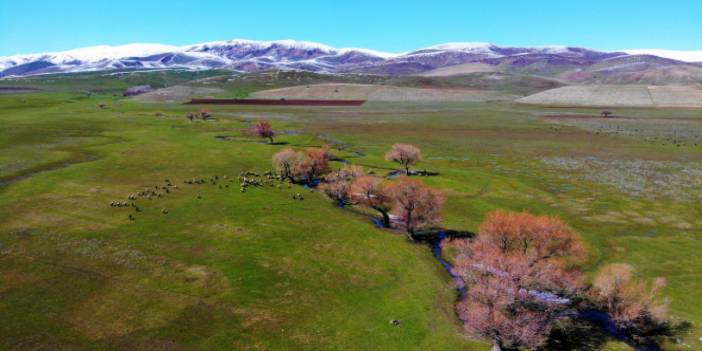 Muş'ta iki mevsim bir arada