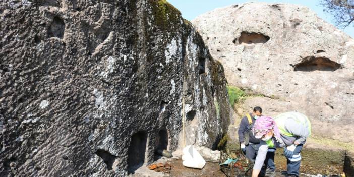 Bodrum Turizmine yeni kan