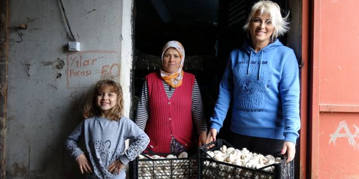 Kadın girişimcilerin 6 ay önce kurduğu mantar üretim tesisi yandı