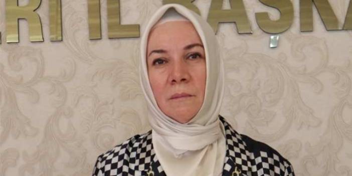 AKP'li Nergis: Ev ve araba almanın artık çok kolaylaştığını anlatacağız