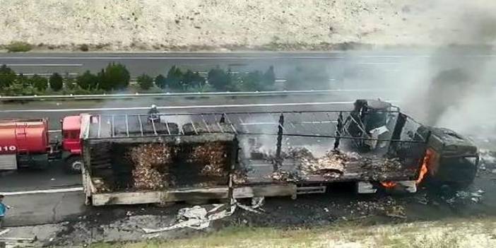 Şanlıurfa'da kağıt yüklü TIR, yandı