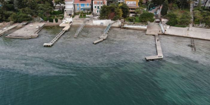 Büyükada'yı 'deniz salyası' sardı