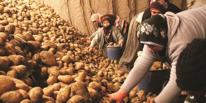 Üreticiler: Patates alımında bize sıra ne zaman gelir bilmiyoruz