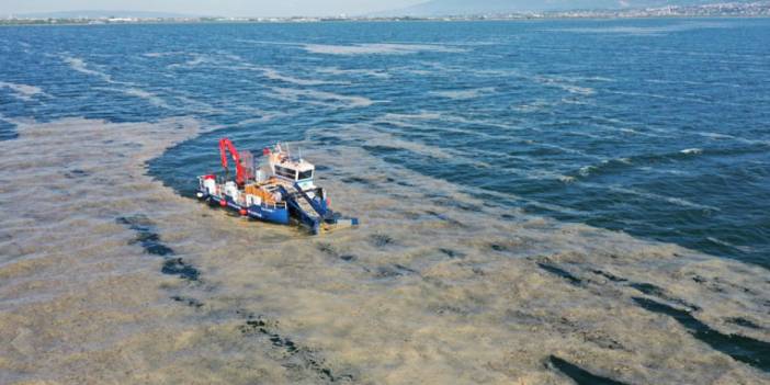 İzmit Körfezi’nden 100 ton deniz salyası toplandı