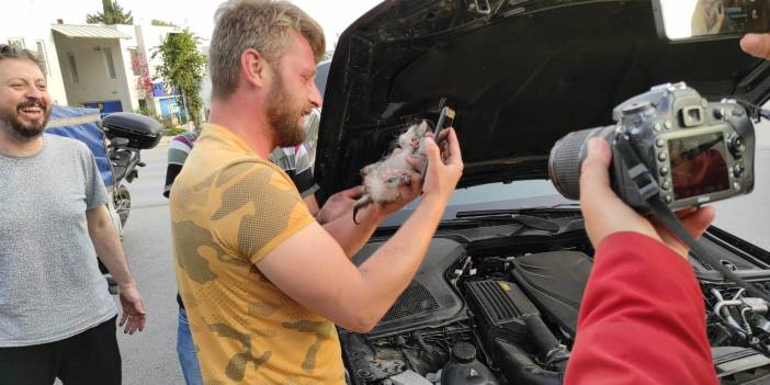 Otomobilin motorundan çıkardığı kediyi sahiplendi