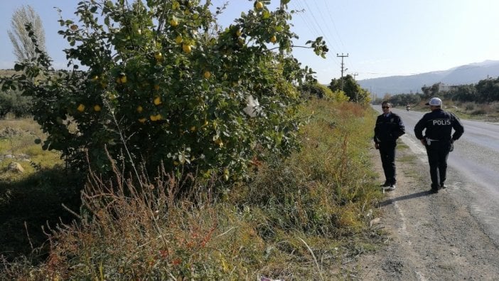 Vatandaş ayvayı yedi, sahibini bulamayınca parayı ağaca astı