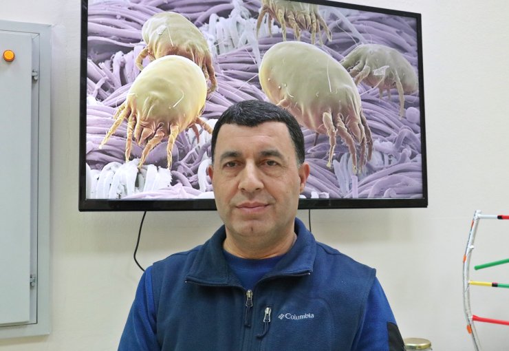 DİKKAT!!! Üreme dönemine girdiler! Yatak, yorgan, yastık, halı, kilim... Gözle görünmüyorlar... Özellikle çocuklara dikkat!