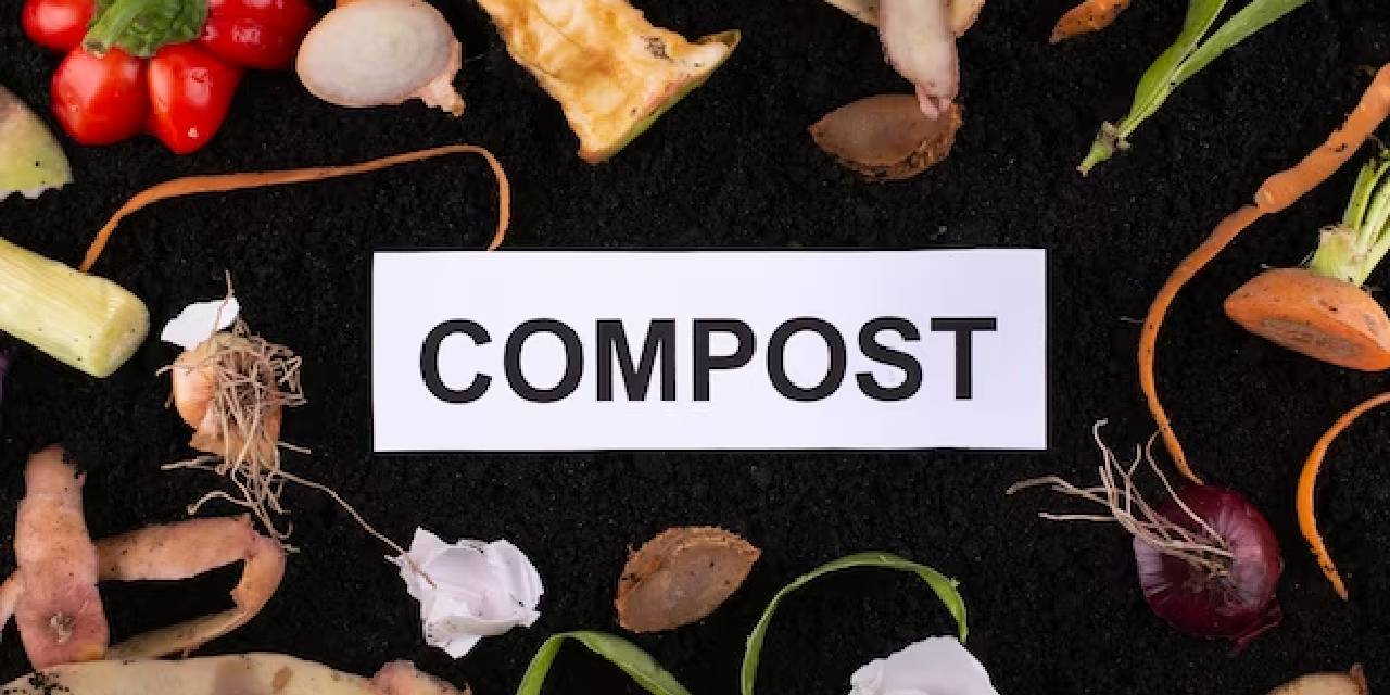 compost.jpg