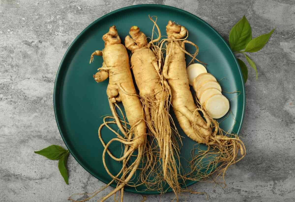 ginseng.jpg