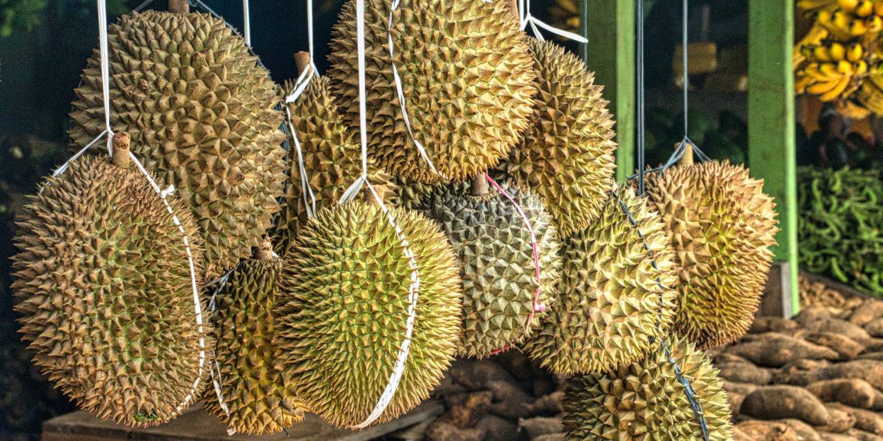 durian.jpg