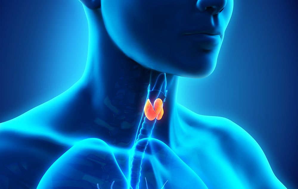 tiroid10.jpg