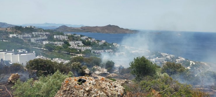 Bodrum'da Korkutan Yangın