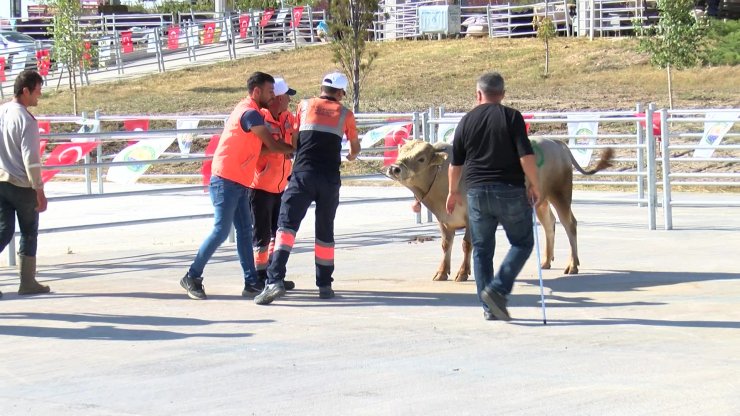 Kurban Yakalama Timleri Göreve Hazır! 15 Gün Eğitim Aldılar