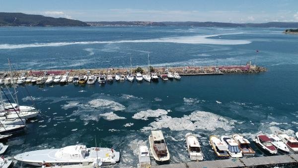 Marmara'da Avlanan Balık Türü Sayısı 64'den 4'e Düştü