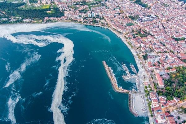 Marmara'da Avlanan Balık Türü Sayısı 64'den 4'e Düştü