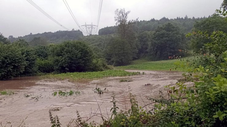 Bolu'yu Sağanak Vurdu: Derler Taştı, Tarım Alanları Su Altında