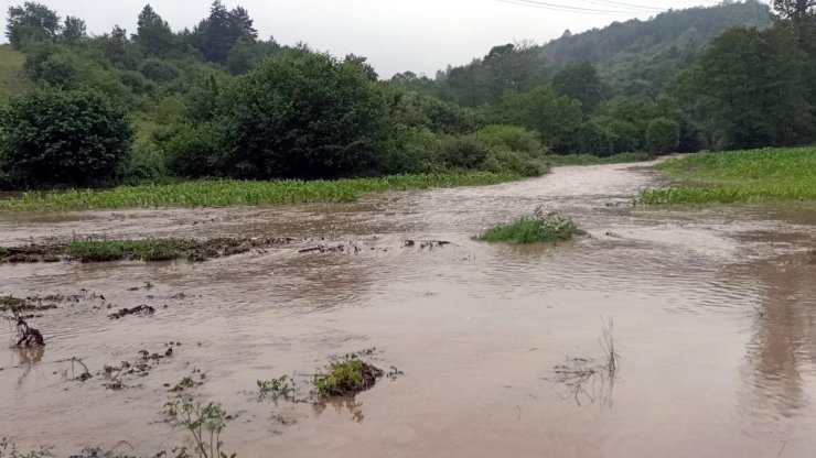 Bolu'yu Sağanak Vurdu: Derler Taştı, Tarım Alanları Su Altında