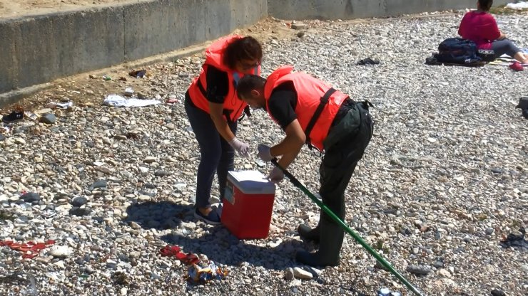 İstanbul'da Plajlar Temiz Mi? Sonuçlar Açıklandı
