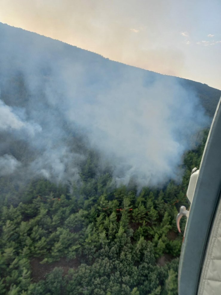 İzmir'de düşen yıldırım, ormanı yaktı