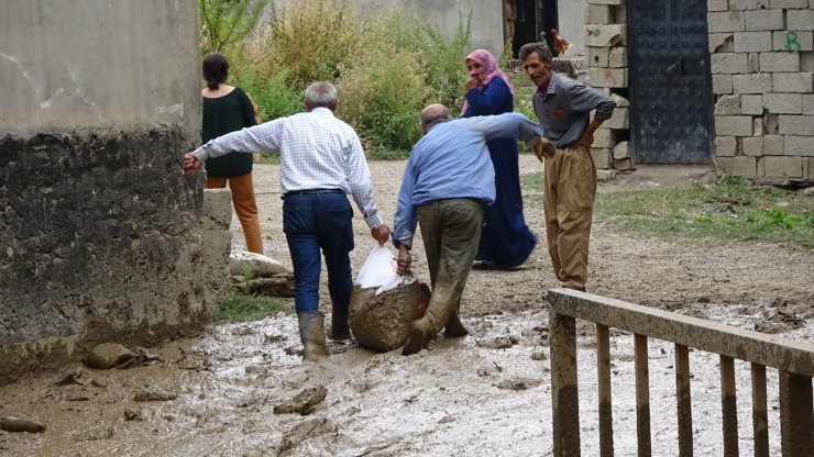 Yüksekova'da Yağışın olmadığı köyü, yayladan gelen su bastı