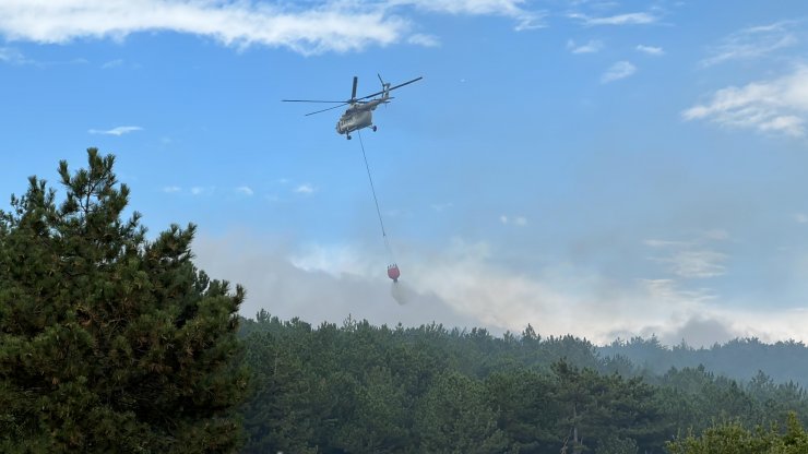 Kütahya’da Orman Yangını: Bölgeye Ekipler Sevk Edildi